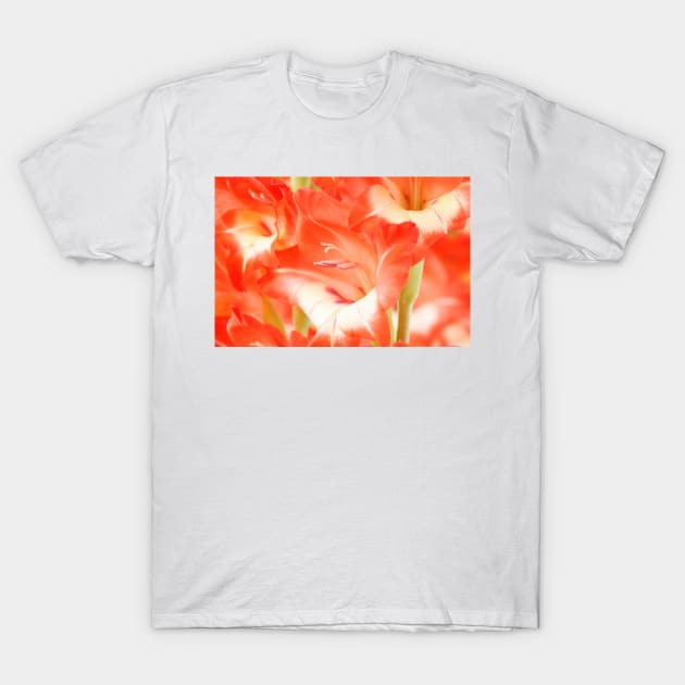 Gladiolus  'Daniella' T-Shirt by chrisburrows